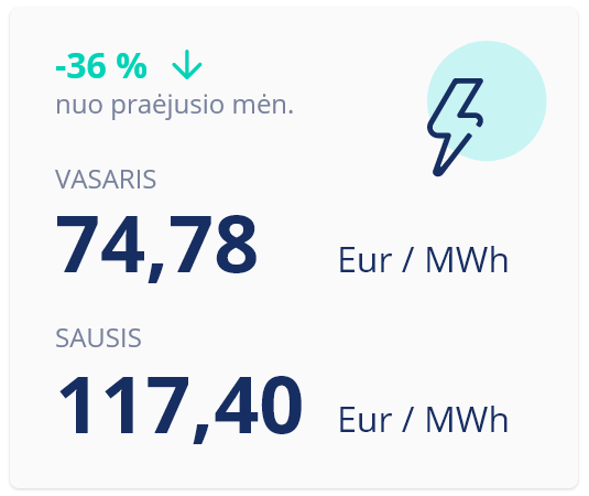 Vasario ir sausio eleketros kainos B2B