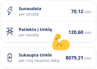 Elektros sunaudojimas, patiekimas į tinklą ir sukaupimas